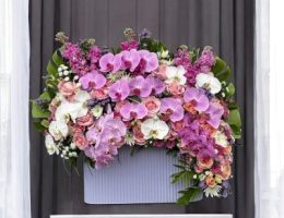 جام گل رسمی سفید؛ هدیه پزشک بخش خصوصی