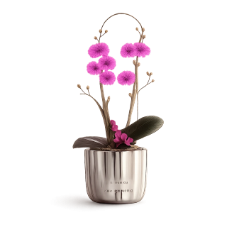 گلدان ارکیده هدیه رسمی
